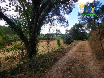 Quinta para Venda em Sertã