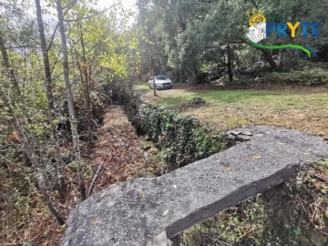 Quinta para Venda em Sertã
