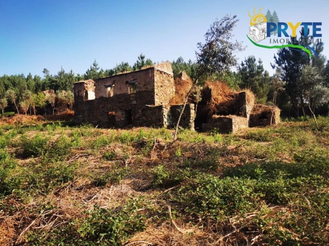 Quinta para Venda em Sertã Foto 1