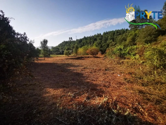 Quinta para Venda em Sertã Foto 4