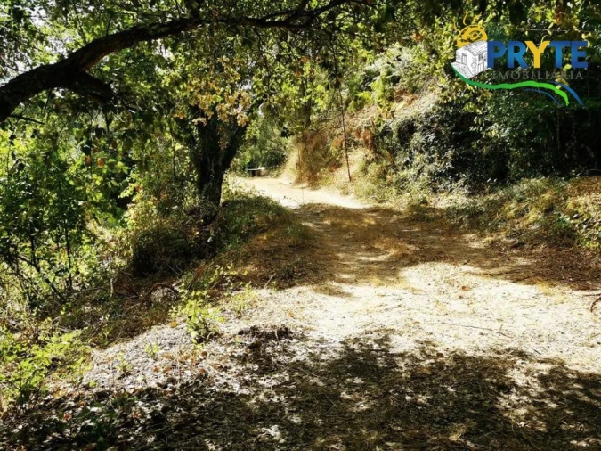 Quinta para Venda em Sertã Foto 6