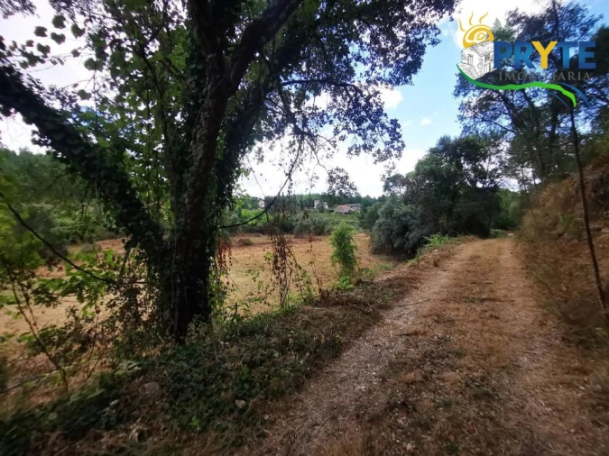 Quinta para Venda em Sertã Foto 9