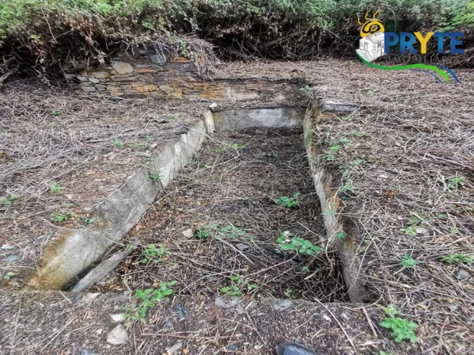 Quinta para Venda em Sertã Foto 10