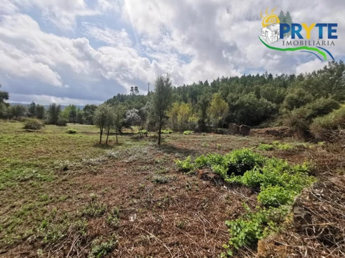 Quinta para Venda em Sertã Foto 14