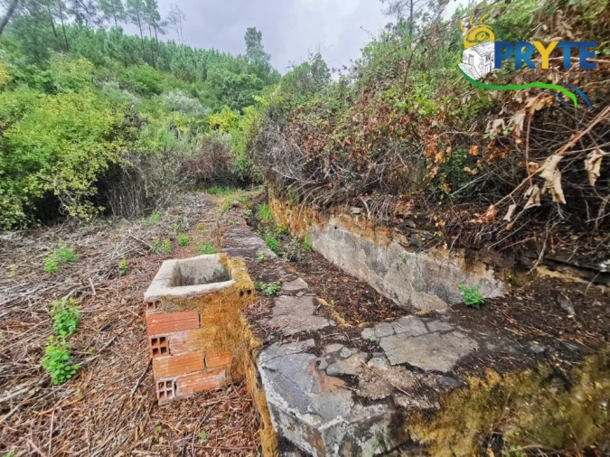 Quinta para Venda em Sertã Foto 15