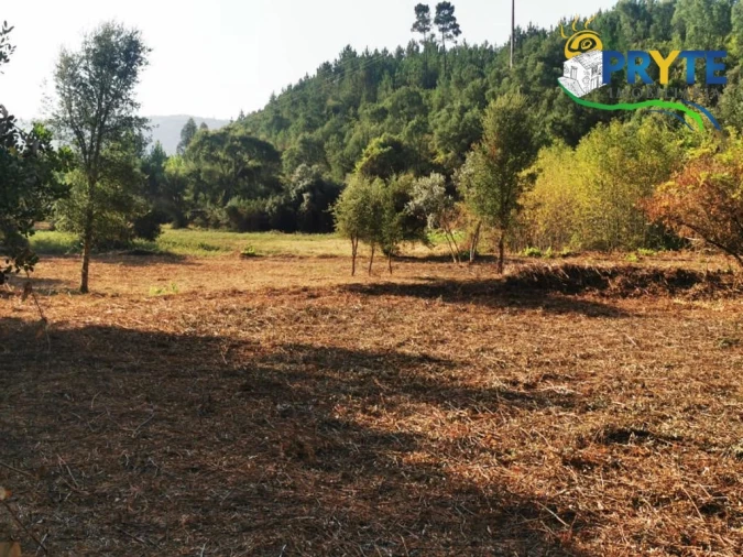 Quinta para Venda em Sertã Foto 19