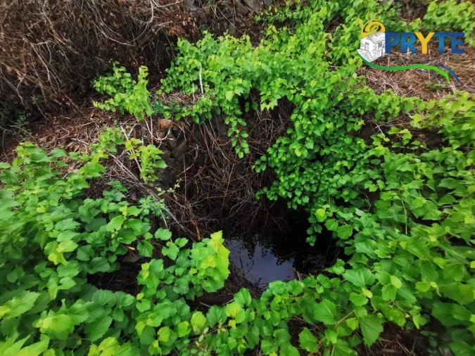 Quinta para Venda em Sertã Foto 25
