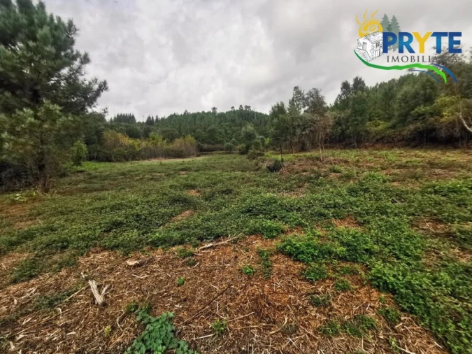 Quinta para Venda em Sertã Foto 28