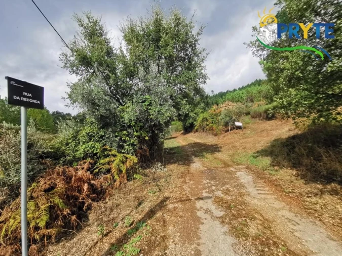 Quinta para Venda em Sertã Foto 29