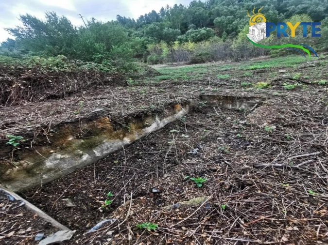 Quinta para Venda em Sertã Foto 32