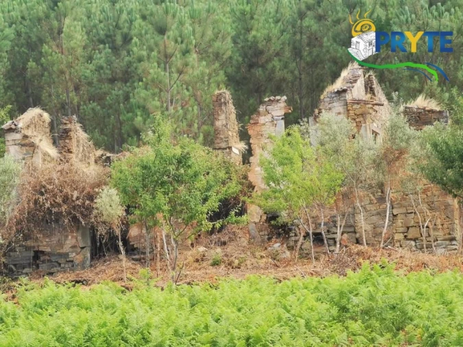 Quinta para Venda em Sertã Foto 33