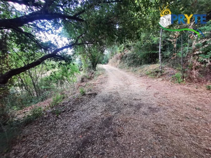 Quinta para Venda em Sertã Foto 34