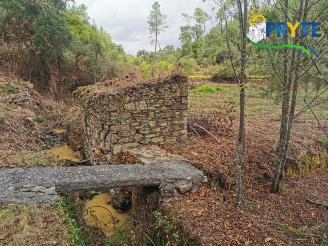 Quinta para Venda em Sertã Foto 36