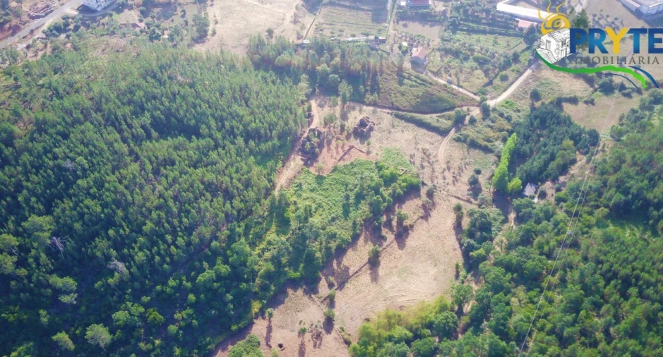 Quinta para Venda em Sertã Foto 37