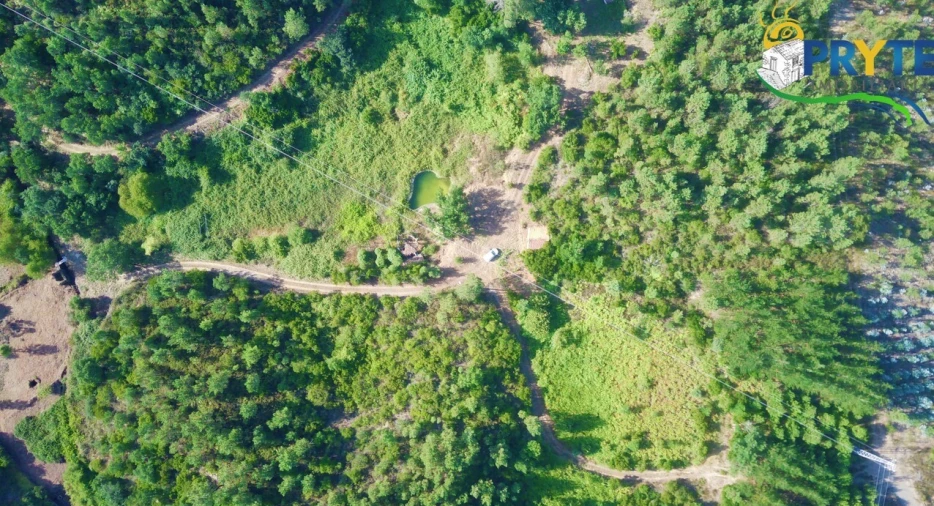 Quinta para Venda em Sertã Foto 38