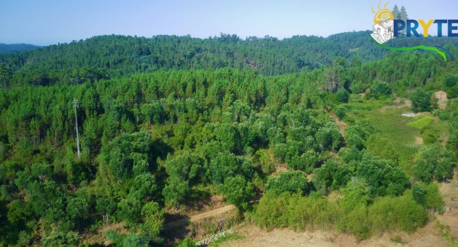 Quinta para Venda em Sertã Foto 39