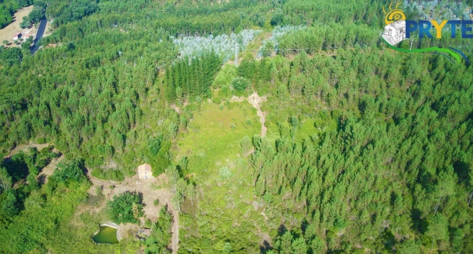 Quinta para Venda em Sertã Foto 41