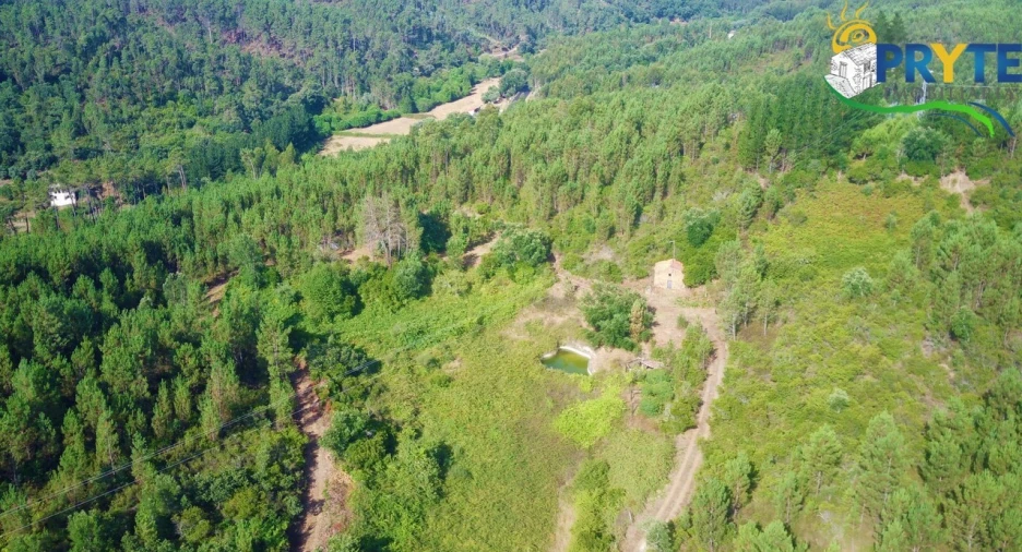 Quinta para Venda em Sertã Foto 43