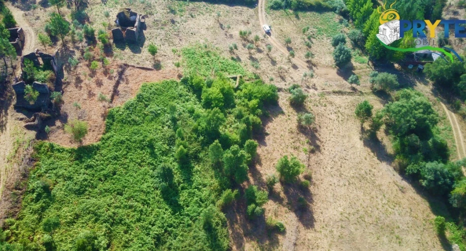 Quinta para Venda em Sertã Foto 44