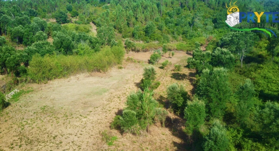Quinta para Venda em Sertã Foto 45