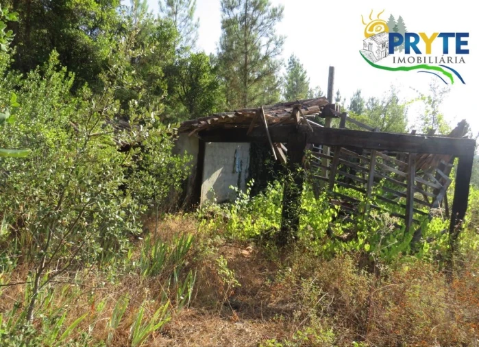 Quinta para Venda em Sertã Foto 47