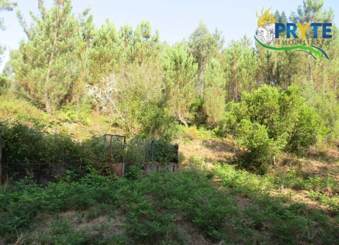 Quinta para Venda em Sertã Foto 52