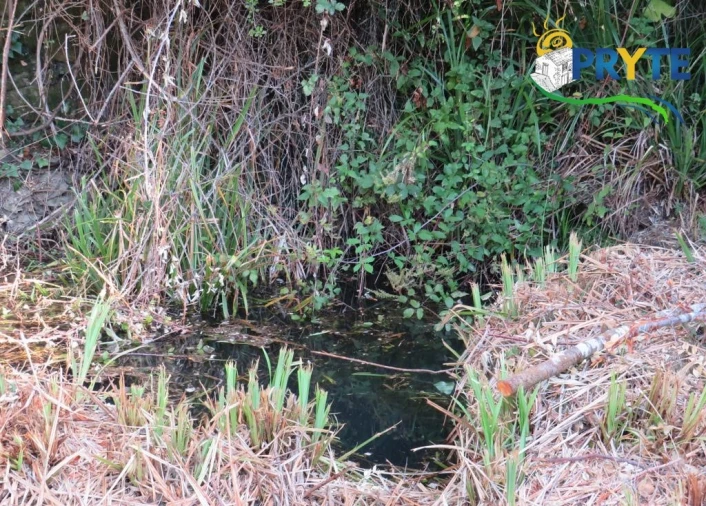 Quinta para Venda em Sertã Foto 59