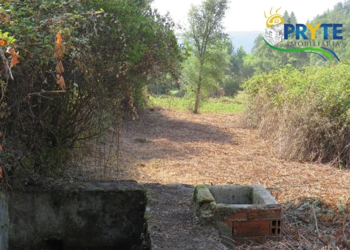 Quinta para Venda em Sertã Foto 60