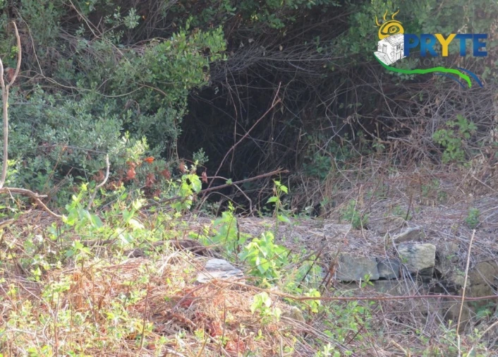 Quinta para Venda em Sertã Foto 61