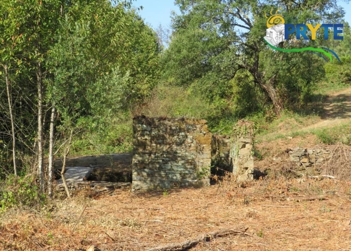 Quinta para Venda em Sertã Foto 63