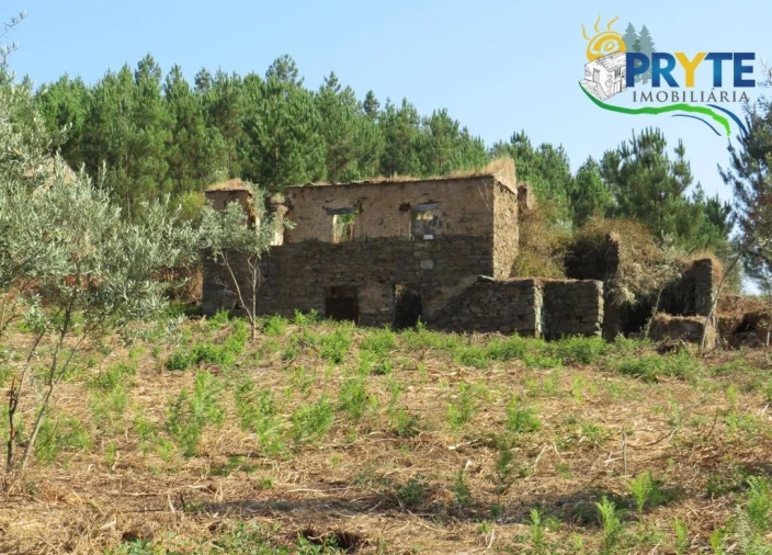 Quinta para Venda em Sertã Foto 64