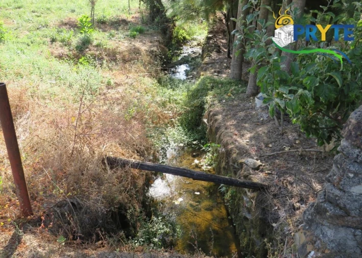 Quinta para Venda em Sertã Foto 68