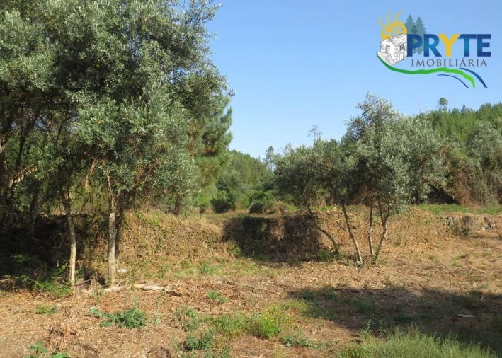 Quinta para Venda em Sertã Foto 70