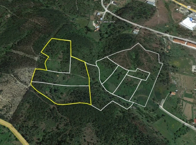 Quinta para Venda em Sertã Planta 1