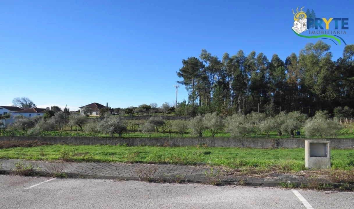 Terreno para Venda em Cernache do Bonjardim, Nesperal e Palhais Foto 1