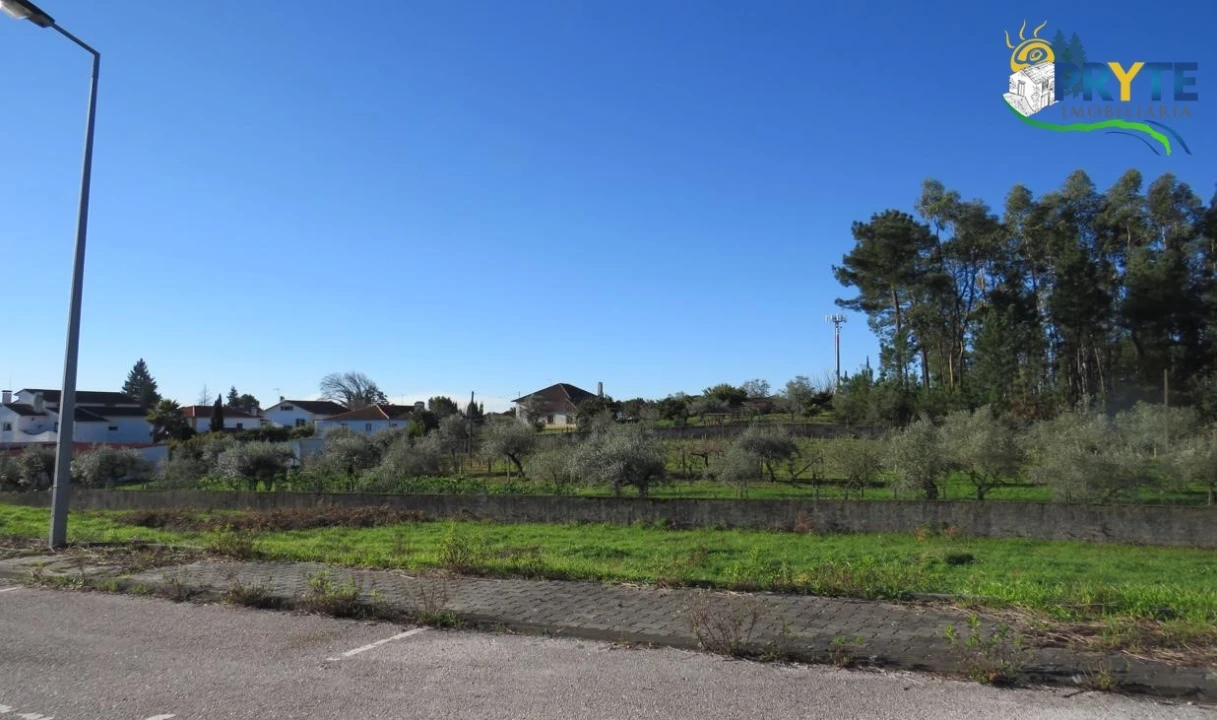 Terreno para Venda em Cernache do Bonjardim, Nesperal e Palhais Foto 2