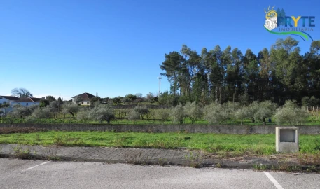 Terreno para Venda em Cernache do Bonjardim, Nesperal e Palhais