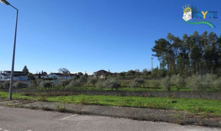Terreno para Venda em Cernache do Bonjardim, Nesperal e Palhais