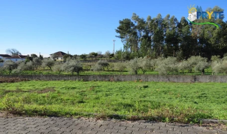 Terreno para Venda em Cernache do Bonjardim, Nesperal e Palhais