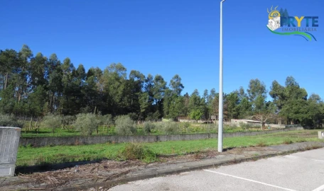 Terreno para Venda em Cernache do Bonjardim, Nesperal e Palhais