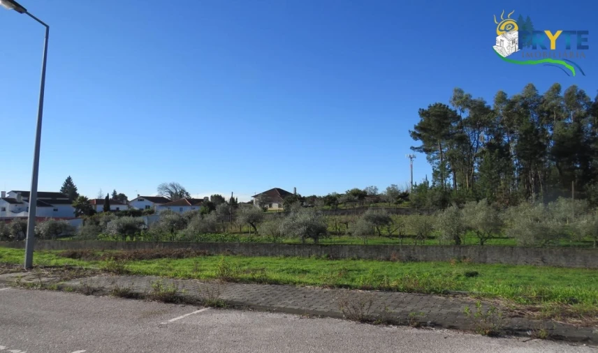 Terreno para Venda em Cernache do Bonjardim, Nesperal e Palhais Foto 2