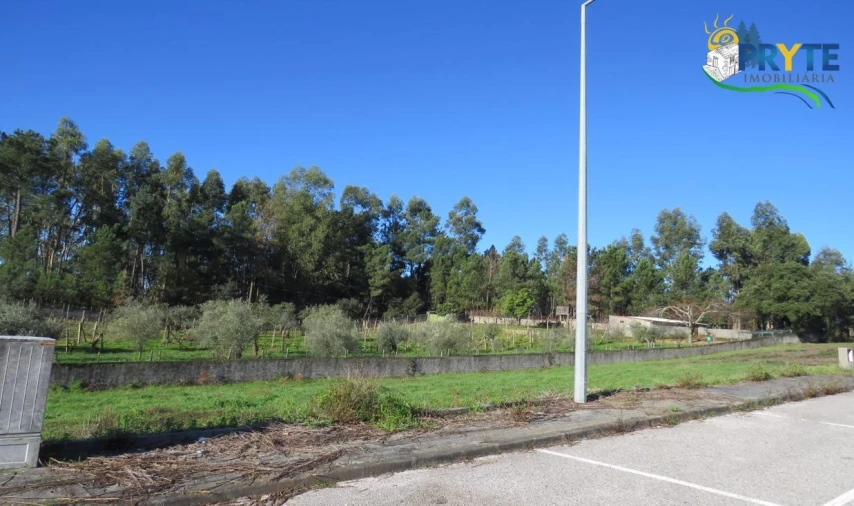 Terreno para Venda em Cernache do Bonjardim, Nesperal e Palhais Foto 4