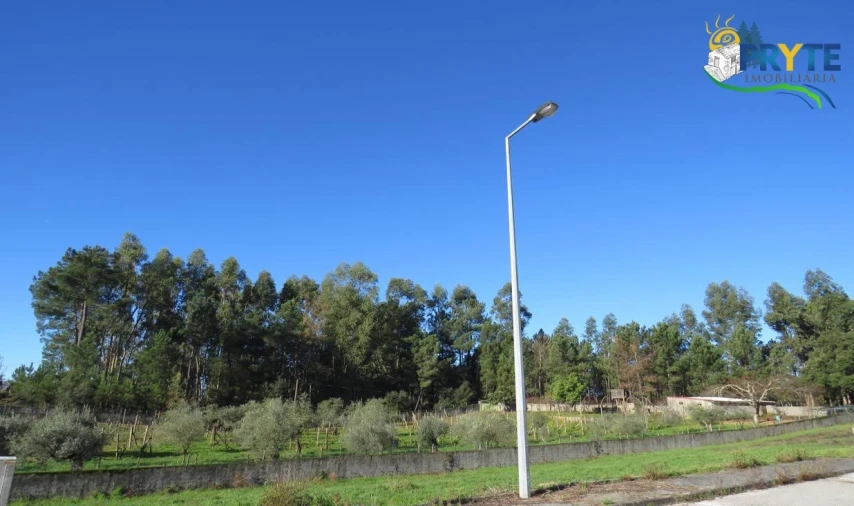 Terreno para Venda em Cernache do Bonjardim, Nesperal e Palhais Foto 5