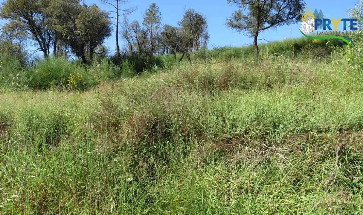 Terreno para Venda em Varzea dos Cavaleiros Foto 11