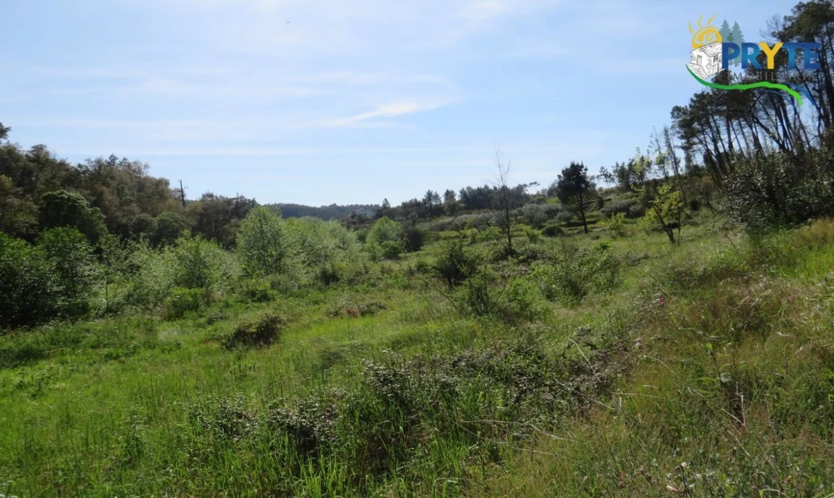 Terreno para Venda em Varzea dos Cavaleiros Foto 12
