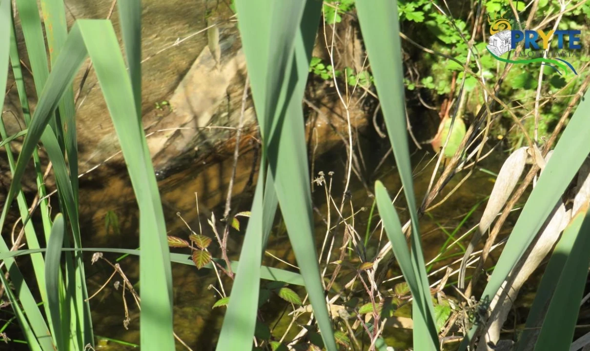 Terreno para Venda em Varzea dos Cavaleiros Foto 14
