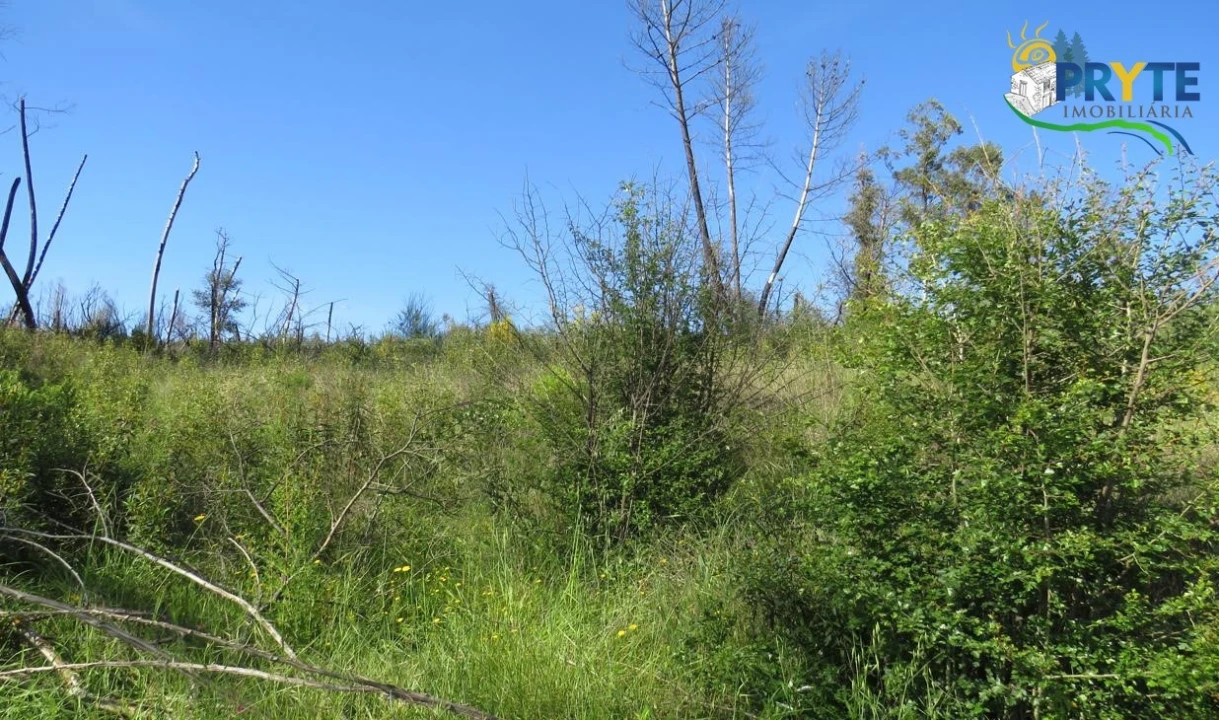 Terreno para Venda em Varzea dos Cavaleiros Foto 20