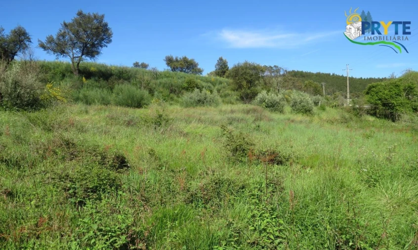 Terreno para Venda em Varzea dos Cavaleiros Foto 9