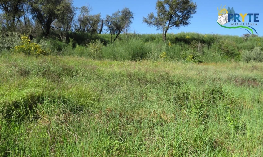 Terreno para Venda em Varzea dos Cavaleiros Foto 10