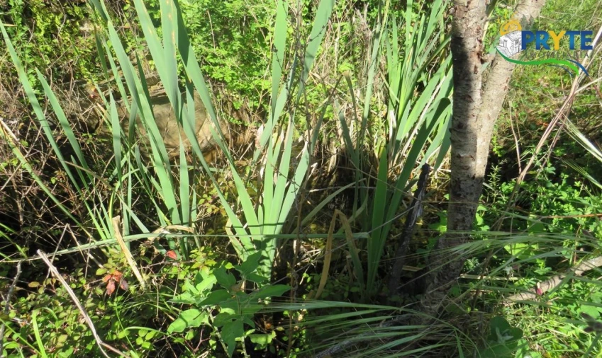 Terreno para Venda em Varzea dos Cavaleiros Foto 16